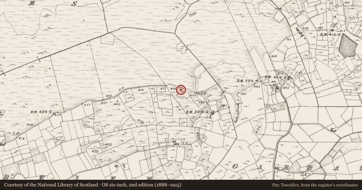 Ordnance Survey six-inch map, 2nd edition (1888–1915) covering the location of Megalithic structure, Bargarriff, County Mayo, with a pin at the register's coordinates