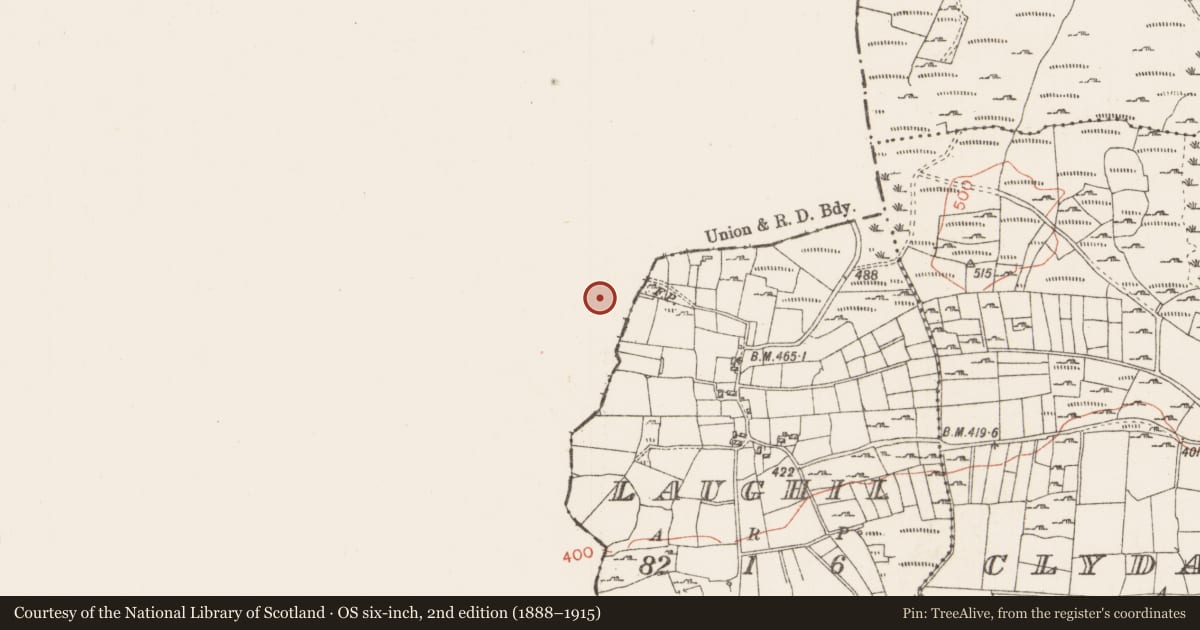 Ordnance Survey six-inch map, 2nd edition (1888–1915) covering the location of Field system, Leo, County Mayo, with a pin at the register's coordinates