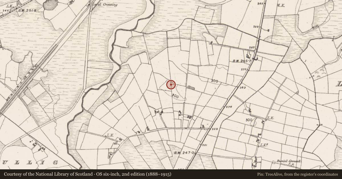 Ordnance Survey six-inch map, 2nd edition (1888–1915) covering the location of Cairn - unclassified, Drumbaun, County Mayo, with a pin at the register's coordinates