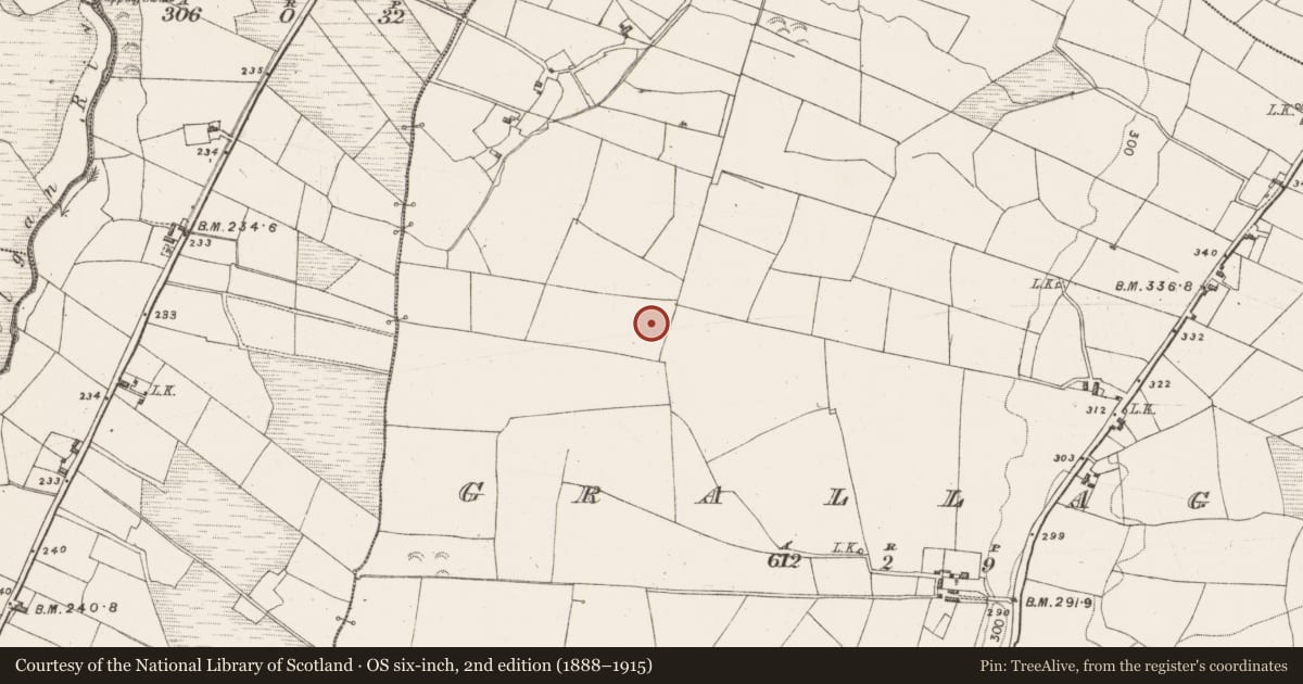 Ordnance Survey six-inch map, 2nd edition (1888–1915) covering the location of Megalithic structure, Grallagh, County Mayo, with a pin at the register's coordinates