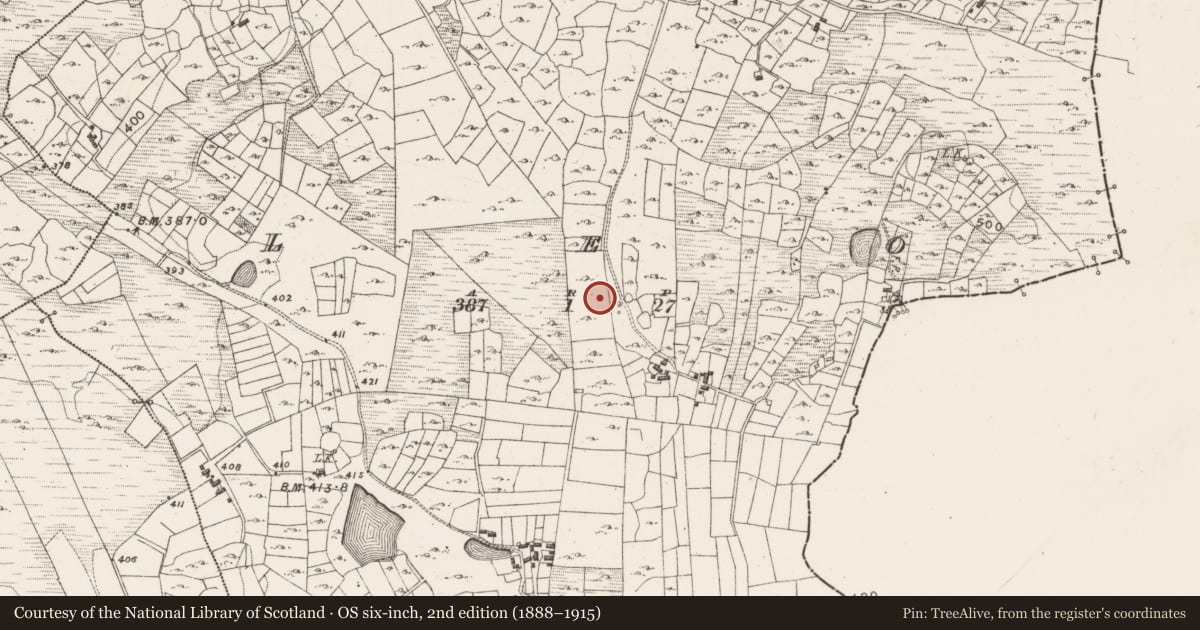 Ordnance Survey six-inch map, 2nd edition (1888–1915) covering the location of Hut site, Leo, County Mayo, with a pin at the register's coordinates