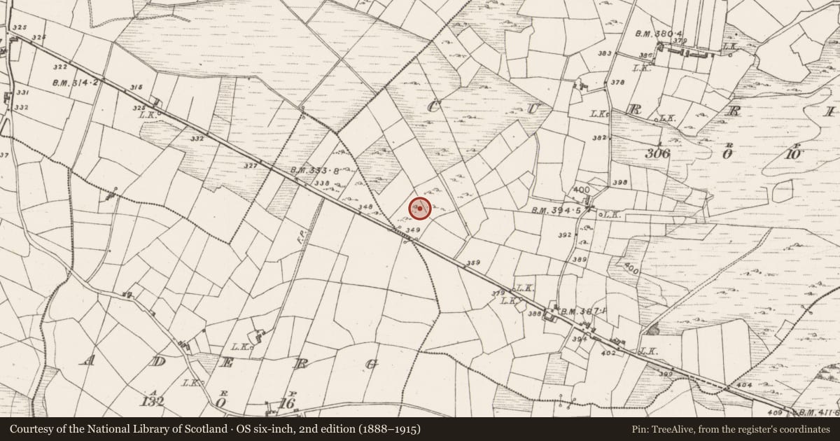Ordnance Survey six-inch map, 2nd edition (1888–1915) covering the location of Fulacht fia, Curries, County Mayo, with a pin at the register's coordinates