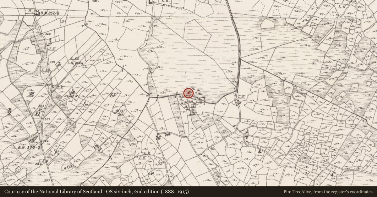 Ordnance Survey six-inch map, 2nd edition (1888–1915) covering the location of Fulacht fia, Kiltybo, County Mayo, with a pin at the register's coordinates