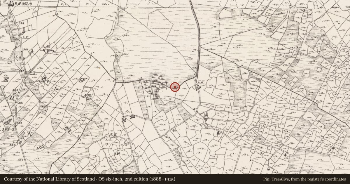 Ordnance Survey six-inch map, 2nd edition (1888–1915) covering the location of Fulacht fia, Leo, County Mayo, with a pin at the register's coordinates