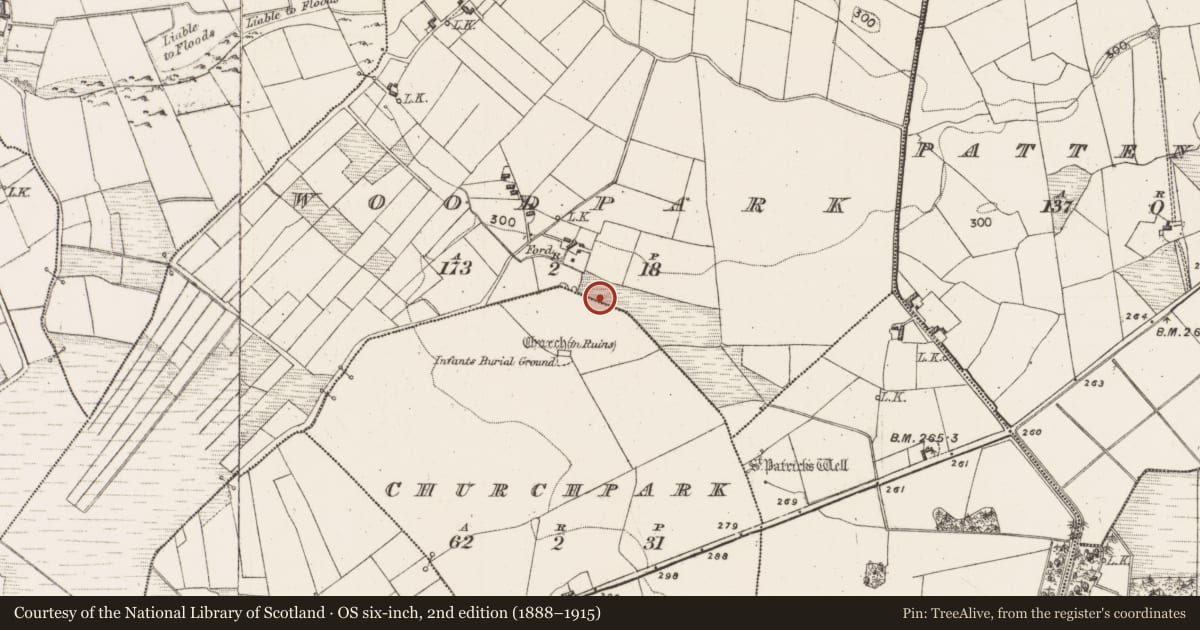 Ordnance Survey six-inch map, 2nd edition (1888–1915) covering the location of Burnt mound, Churchpark, Woodpark, County Mayo, with a pin at the register's coordinates