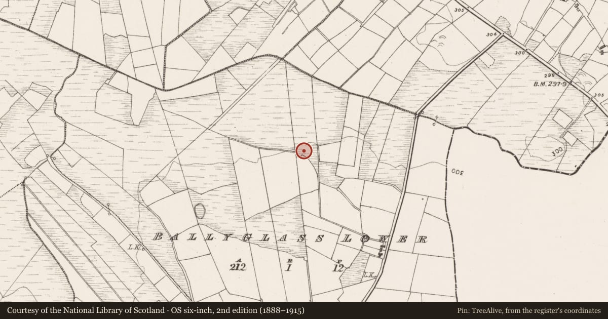 Ordnance Survey six-inch map, 2nd edition (1888–1915) covering the location of Burnt mound, Ballyglass Lower, County Mayo, with a pin at the register's coordinates