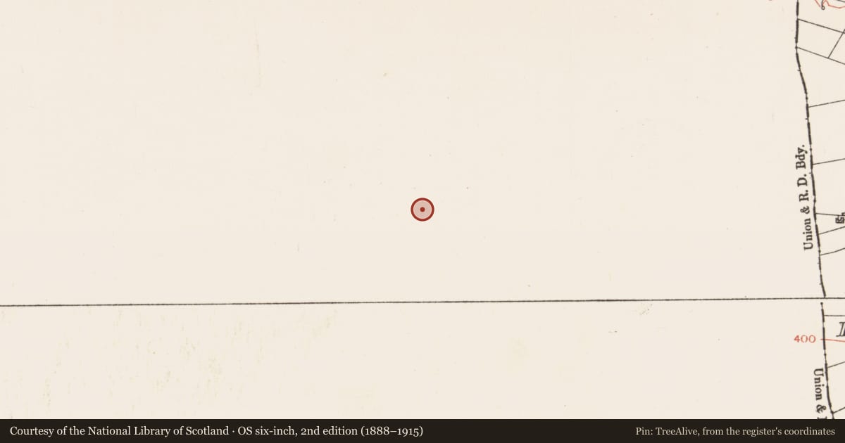 Ordnance Survey six-inch map, 2nd edition (1888–1915) covering the location of Burnt mound, Ballyglass Middle, County Mayo, with a pin at the register's coordinates