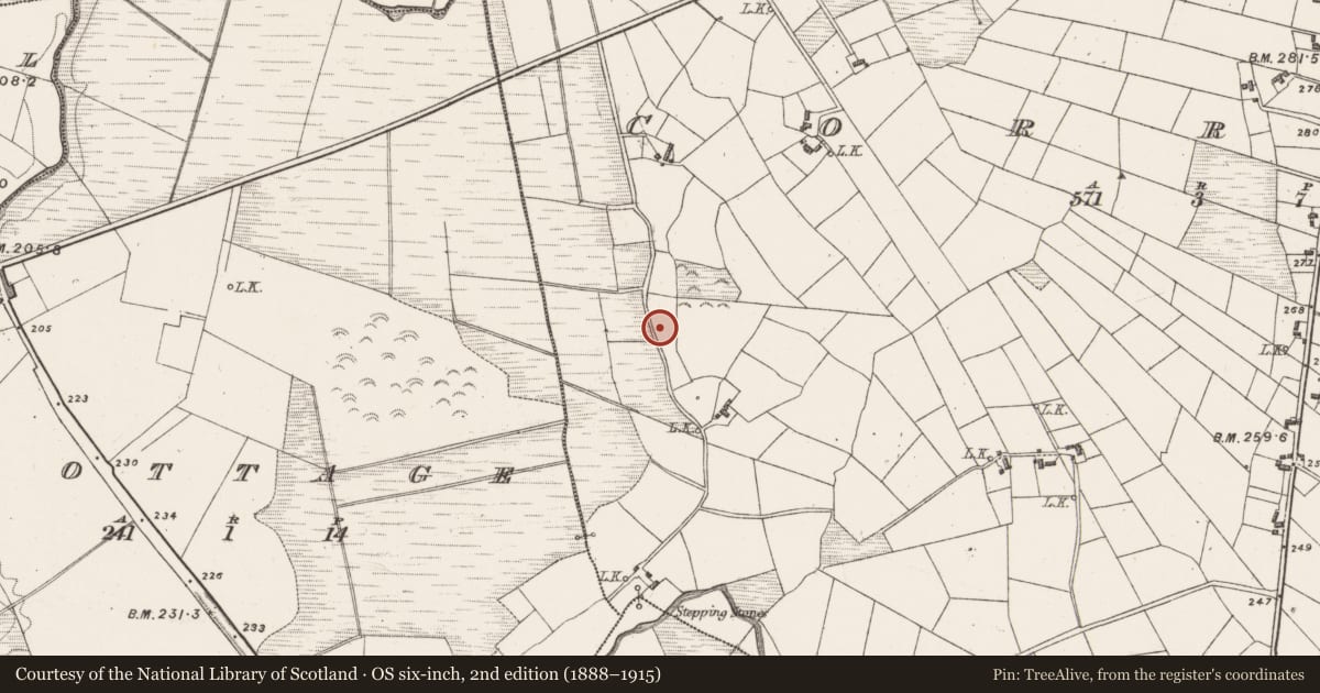 Ordnance Survey six-inch map, 2nd edition (1888–1915) covering the location of Burnt mound, Corraun, County Mayo, with a pin at the register's coordinates