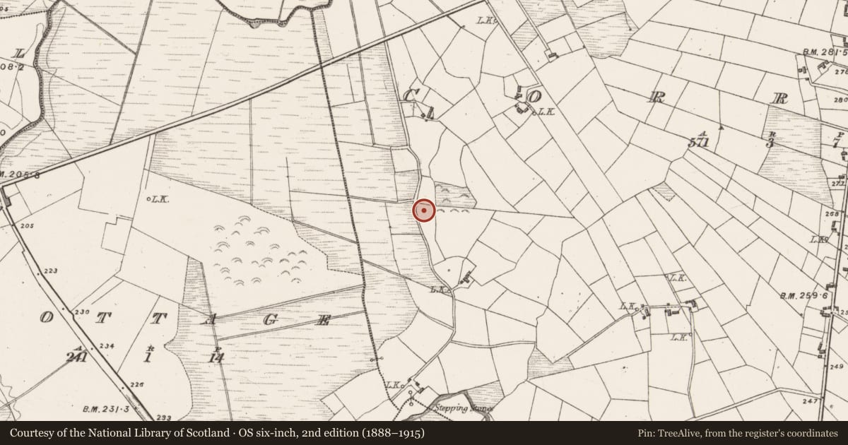 Ordnance Survey six-inch map, 2nd edition (1888–1915) covering the location of Road - unclassified togher, Corraun, County Mayo, with a pin at the register's coordinates