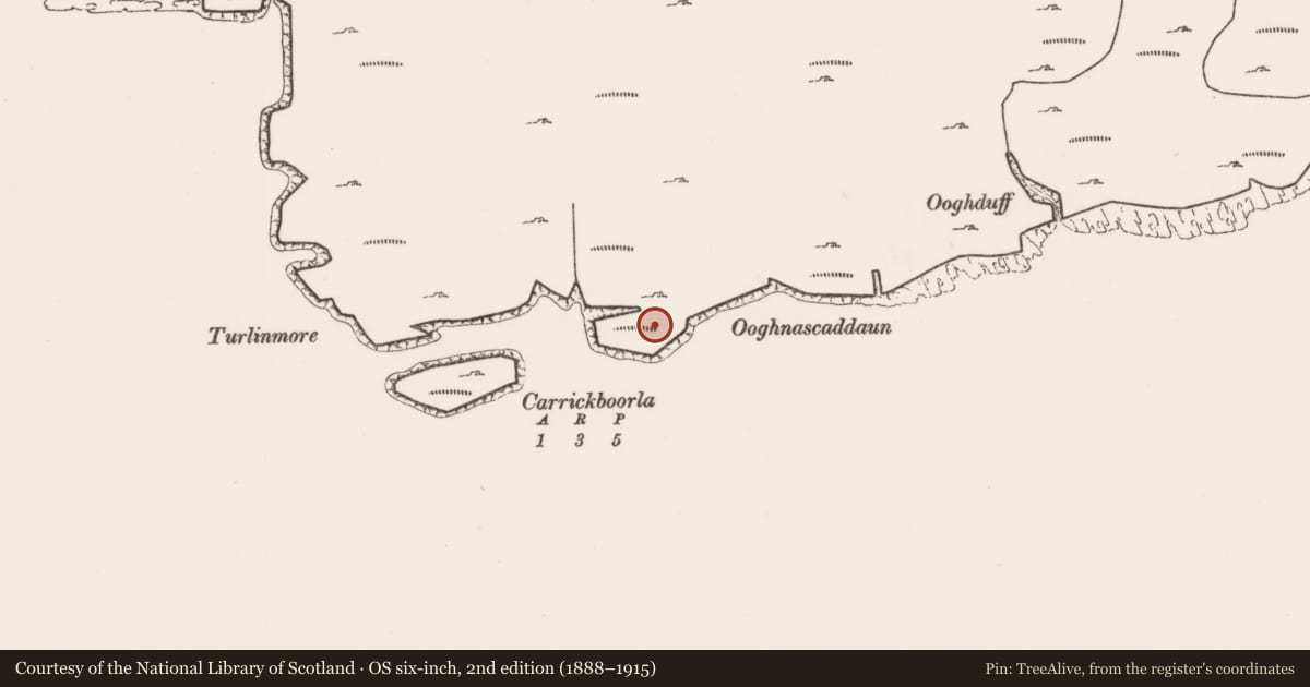 Ordnance Survey six-inch map, 2nd edition (1888–1915) covering the location of Promontory fort - coastal, Ballyheer, County Mayo, with a pin at the register's coordinates