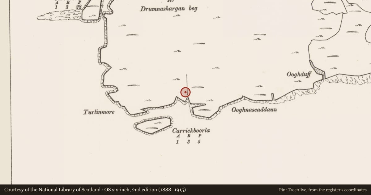 Ordnance Survey six-inch map, 2nd edition (1888–1915) covering the location of Megalithic structure, Ballyheer, County Mayo, with a pin at the register's coordinates