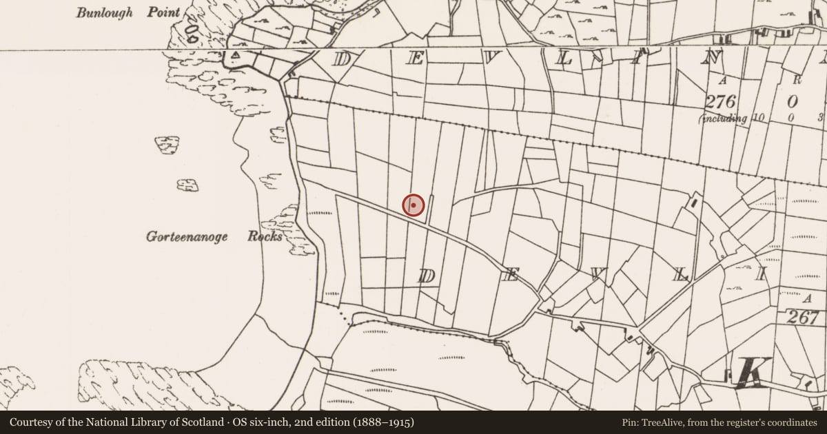 Ordnance Survey six-inch map, 2nd edition (1888–1915) covering the location of Enclosure, Devlin South, County Mayo, with a pin at the register's coordinates