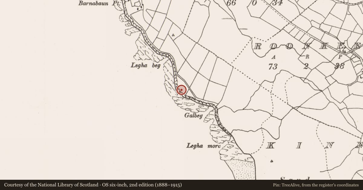 Ordnance Survey six-inch map, 2nd edition (1888–1915) covering the location of Hut site, Kinnadoohy, County Mayo, with a pin at the register's coordinates