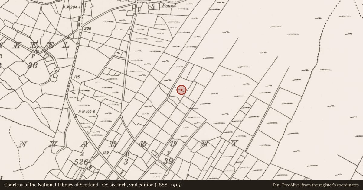 Ordnance Survey six-inch map, 2nd edition (1888–1915) covering the location of Enclosure, Kinnadoohy, County Mayo, with a pin at the register's coordinates