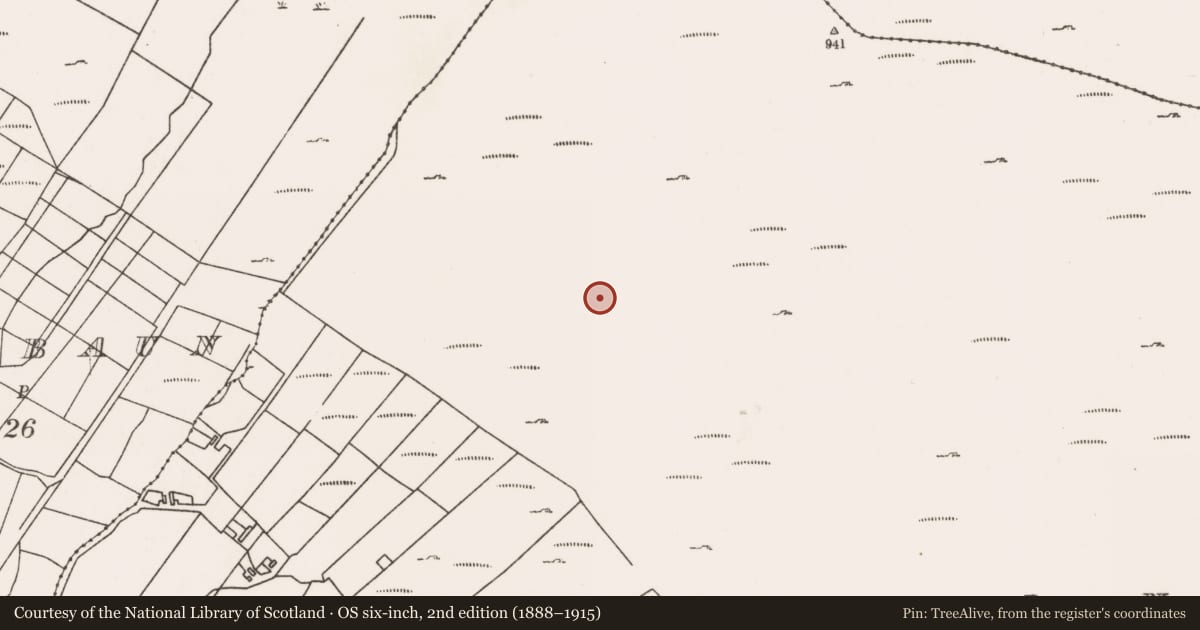 Ordnance Survey six-inch map, 2nd edition (1888–1915) covering the location of Hut site, Sixnoggins, County Mayo, with a pin at the register's coordinates