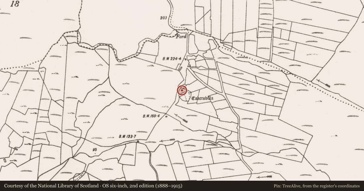 Ordnance Survey six-inch map, 2nd edition (1888–1915) covering the location of Cross-inscribed pillar, Dadreen, County Mayo, with a pin at the register's coordinates
