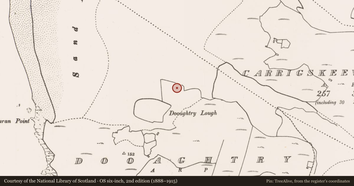 Ordnance Survey six-inch map, 2nd edition (1888–1915) covering the location of Ringfort - cashel, Dooaghtry, County Mayo, with a pin at the register's coordinates