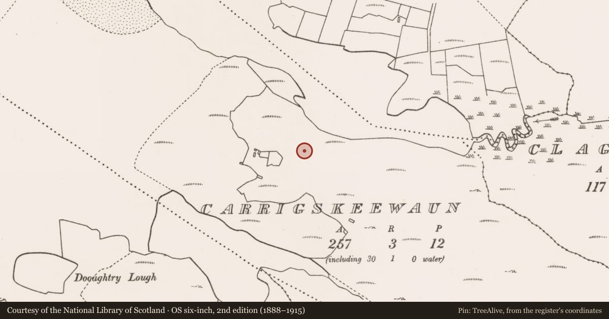 Ordnance Survey six-inch map, 2nd edition (1888–1915) covering the location of Ringfort - cashel, Carrigskeewaun, County Mayo, with a pin at the register's coordinates