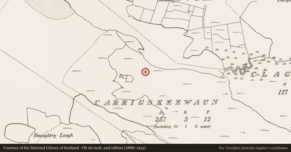 Ordnance Survey six-inch map, 2nd edition (1888–1915) covering the location of Hut site, Carrigskeewaun, County Mayo, with a pin at the register's coordinates