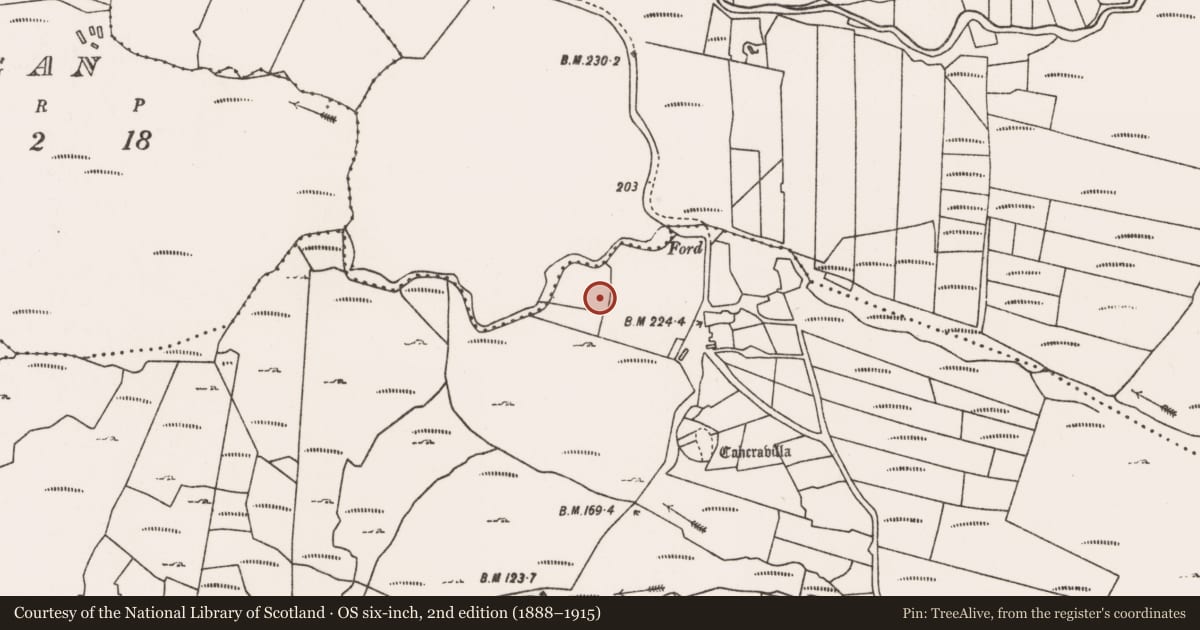 Ordnance Survey six-inch map, 2nd edition (1888–1915) covering the location of Enclosure, Dadreen, County Mayo, with a pin at the register's coordinates
