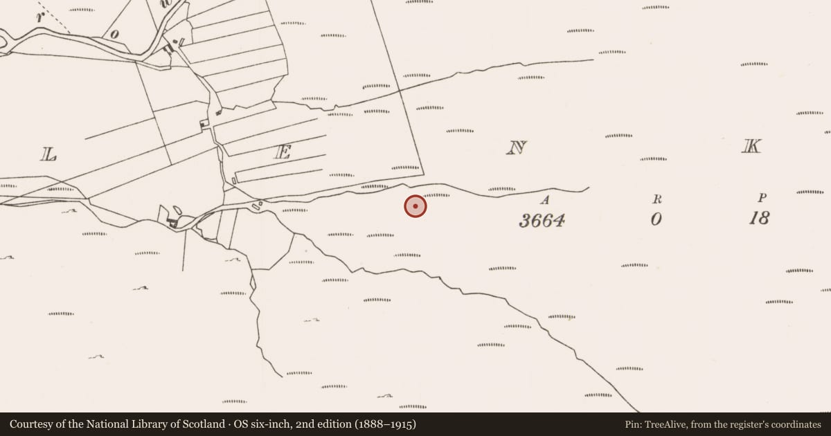 Ordnance Survey six-inch map, 2nd edition (1888–1915) covering the location of Standing stone, Glenkeen, County Mayo, with a pin at the register's coordinates