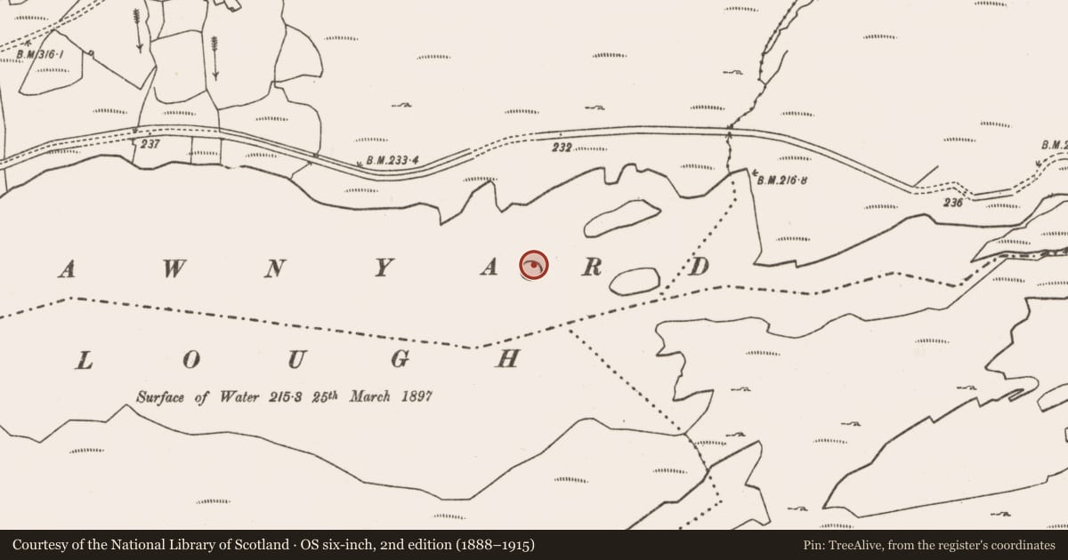 Ordnance Survey six-inch map, 2nd edition (1888–1915) covering the location of Crannog, Tawnyard, County Mayo, with a pin at the register's coordinates