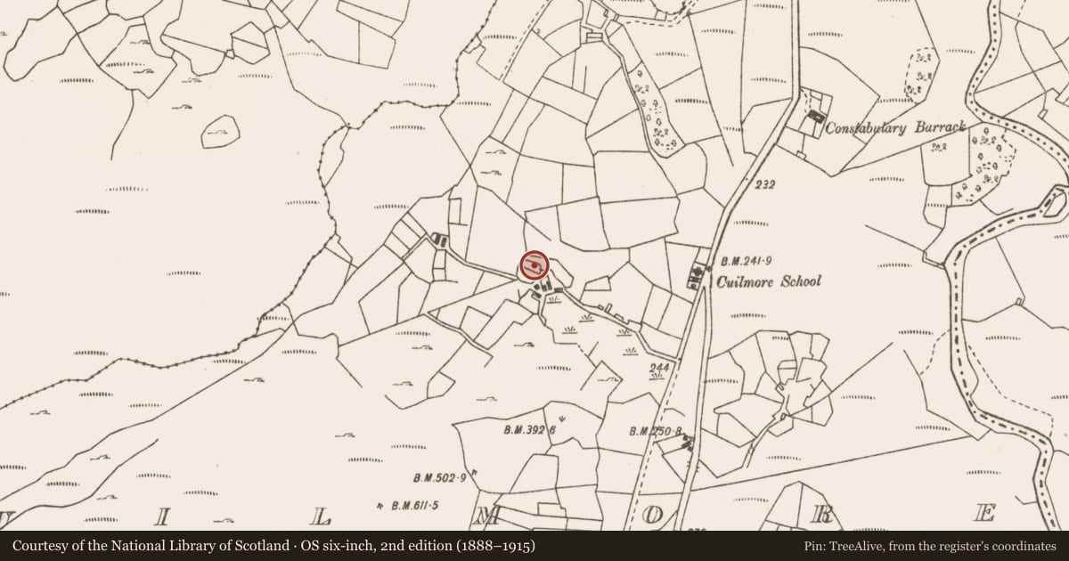 Ordnance Survey six-inch map, 2nd edition (1888–1915) covering the location of Ringfort - cashel, Cuilmore, County Mayo, with a pin at the register's coordinates