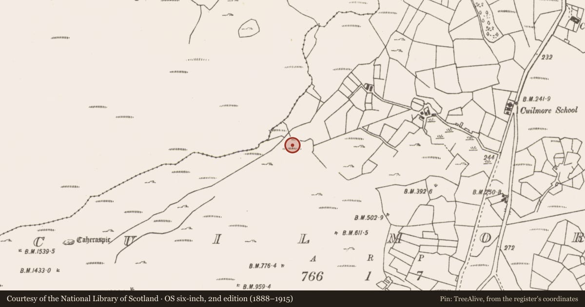 Ordnance Survey six-inch map, 2nd edition (1888–1915) covering the location of House - indeterminate date, Cuilmore, County Mayo, with a pin at the register's coordinates