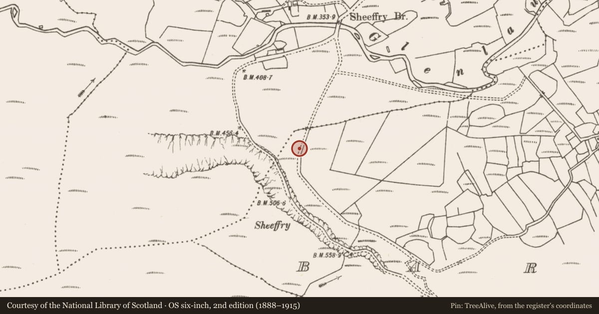 Ordnance Survey six-inch map, 2nd edition (1888–1915) covering the location of Road - road/trackway, Barnaderg, Tawnycrower, County Mayo, with a pin at the register's coordinates