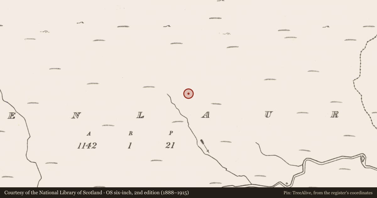 Ordnance Survey six-inch map, 2nd edition (1888–1915) covering the location of Field boundary, Glenlaur, County Mayo, with a pin at the register's coordinates