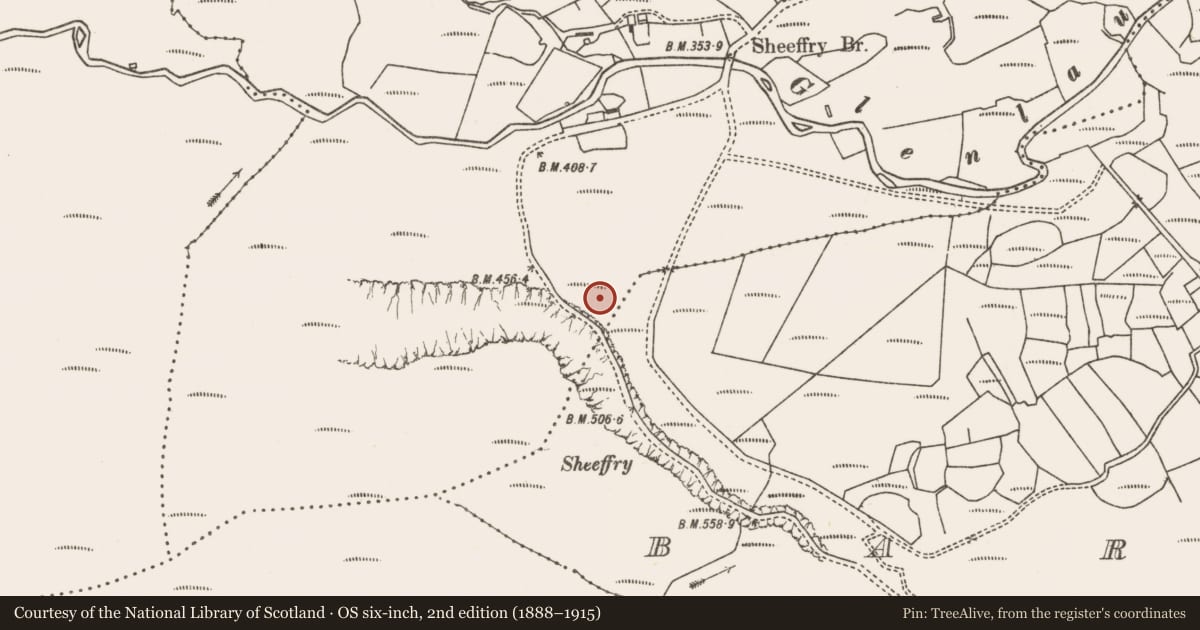 Ordnance Survey six-inch map, 2nd edition (1888–1915) covering the location of Hut site, Tawnycrower, County Mayo, with a pin at the register's coordinates