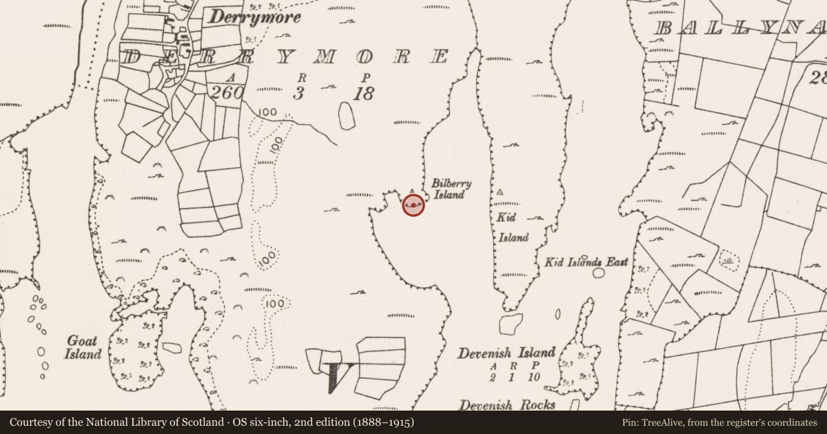 Ordnance Survey six-inch map, 2nd edition (1888–1915) covering the location of Crannog, Derrymore, County Mayo, with a pin at the register's coordinates