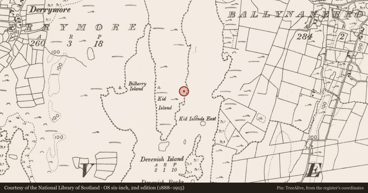 Ordnance Survey six-inch map, 2nd edition (1888–1915) covering the location of Crannog, Lough Mask, County Mayo, with a pin at the register's coordinates