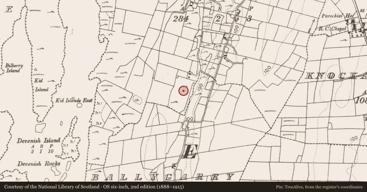 Ordnance Survey six-inch map, 2nd edition (1888–1915) covering the location of Enclosure, Ballynanerroon More, County Mayo, with a pin at the register's coordinates