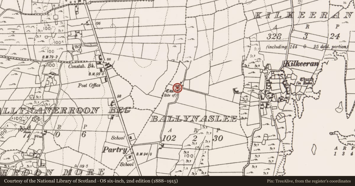 Ordnance Survey six-inch map, 2nd edition (1888–1915) covering the location of Castle - unclassified, Ballynaslee, County Mayo, with a pin at the register's coordinates