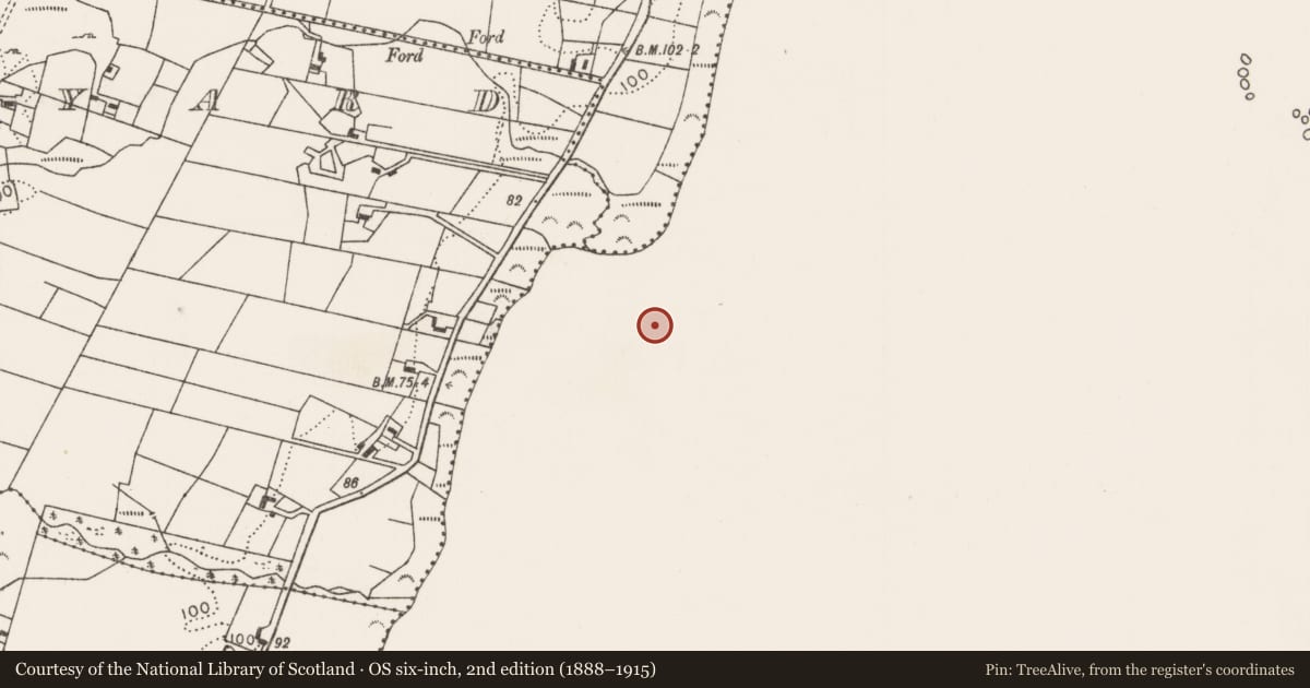 Ordnance Survey six-inch map, 2nd edition (1888–1915) covering the location of Crannog, Lough Mask, County Mayo, with a pin at the register's coordinates