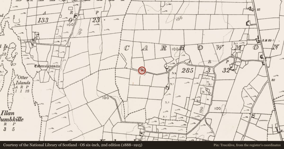 Ordnance Survey six-inch map, 2nd edition (1888–1915) covering the location of Ringfort - rath, Carrowmoney, County Mayo, with a pin at the register's coordinates