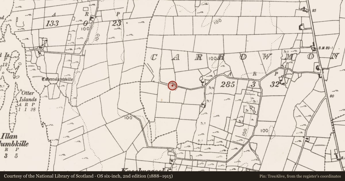 Ordnance Survey six-inch map, 2nd edition (1888–1915) covering the location of Souterrain, Carrowmoney, County Mayo, with a pin at the register's coordinates