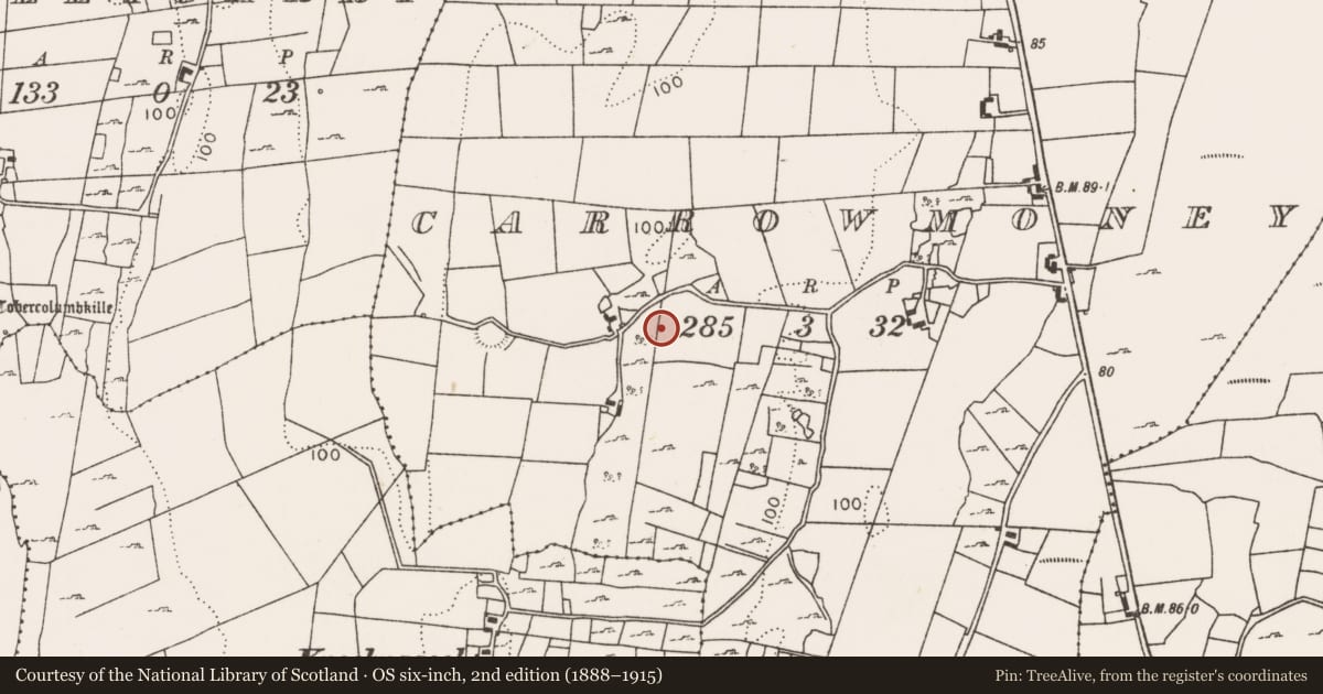 Ordnance Survey six-inch map, 2nd edition (1888–1915) covering the location of Field system, Carrowmoney, County Mayo, with a pin at the register's coordinates
