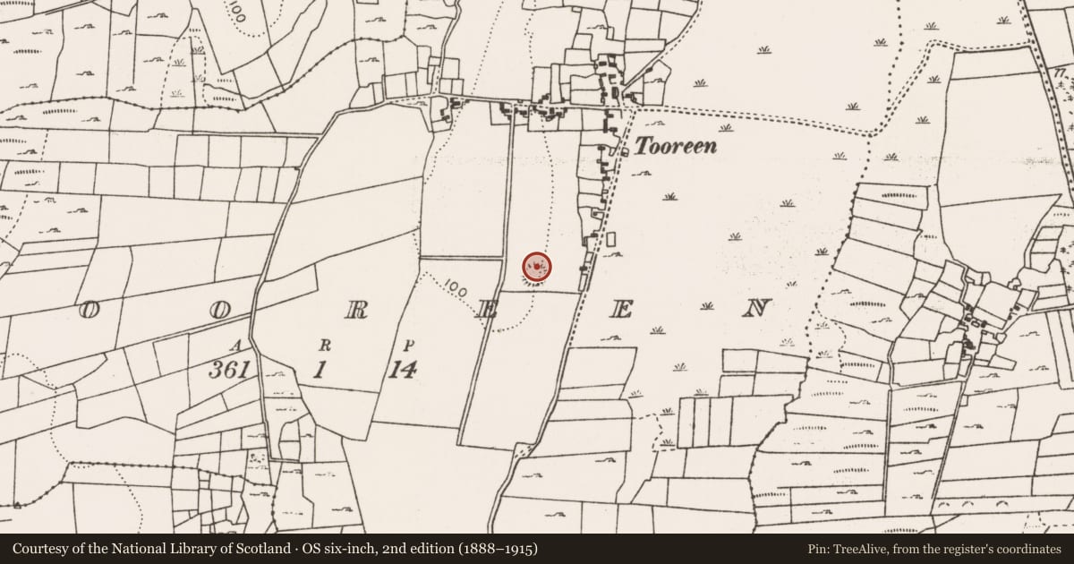 Ordnance Survey six-inch map, 2nd edition (1888–1915) covering the location of Ringfort - rath, Tooreen, County Mayo, with a pin at the register's coordinates