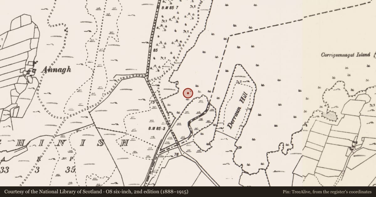 Ordnance Survey six-inch map, 2nd edition (1888–1915) covering the location of Crannog, Lough Carra, County Mayo, with a pin at the register's coordinates