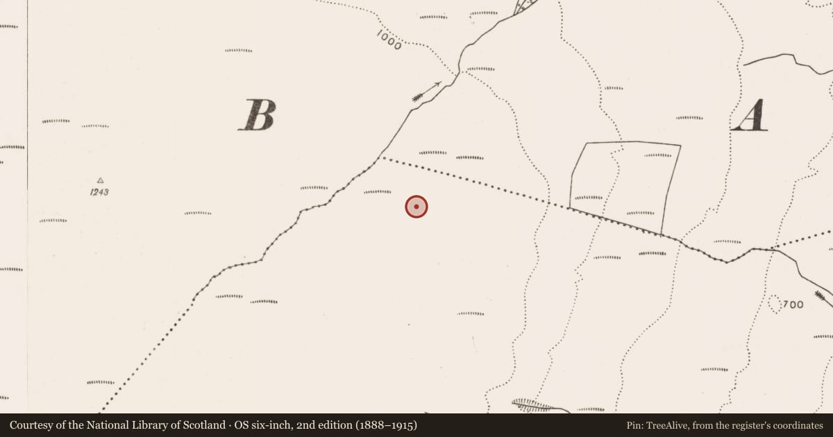 Ordnance Survey six-inch map, 2nd edition (1888–1915) covering the location of Rock art, Droim Chagaidh, County Mayo, with a pin at the register's coordinates