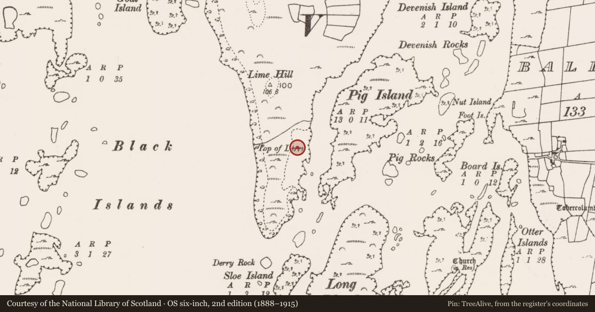 Ordnance Survey six-inch map, 2nd edition (1888–1915) covering the location of Sweathouse, Derrymore, County Mayo, with a pin at the register's coordinates