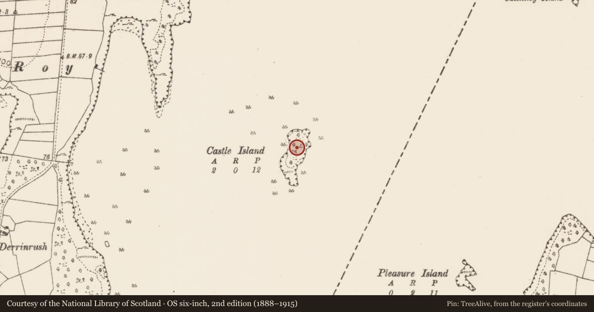 Ordnance Survey six-inch map, 2nd edition (1888–1915) covering the location of Bawn, Castle Island, County Mayo, with a pin at the register's coordinates