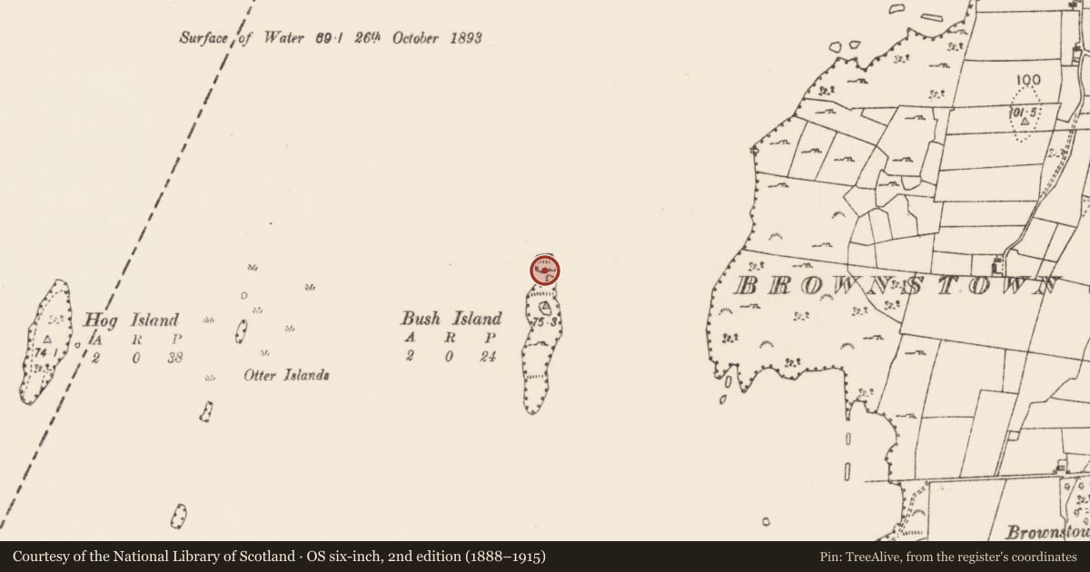 Ordnance Survey six-inch map, 2nd edition (1888–1915) covering the location of Crannog, Lough Carra, County Mayo, with a pin at the register's coordinates