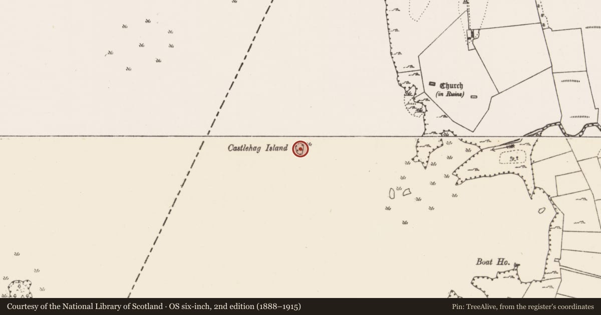 Ordnance Survey six-inch map, 2nd edition (1888–1915) covering the location of Castle - unclassified, Lough Carra, County Mayo, with a pin at the register's coordinates