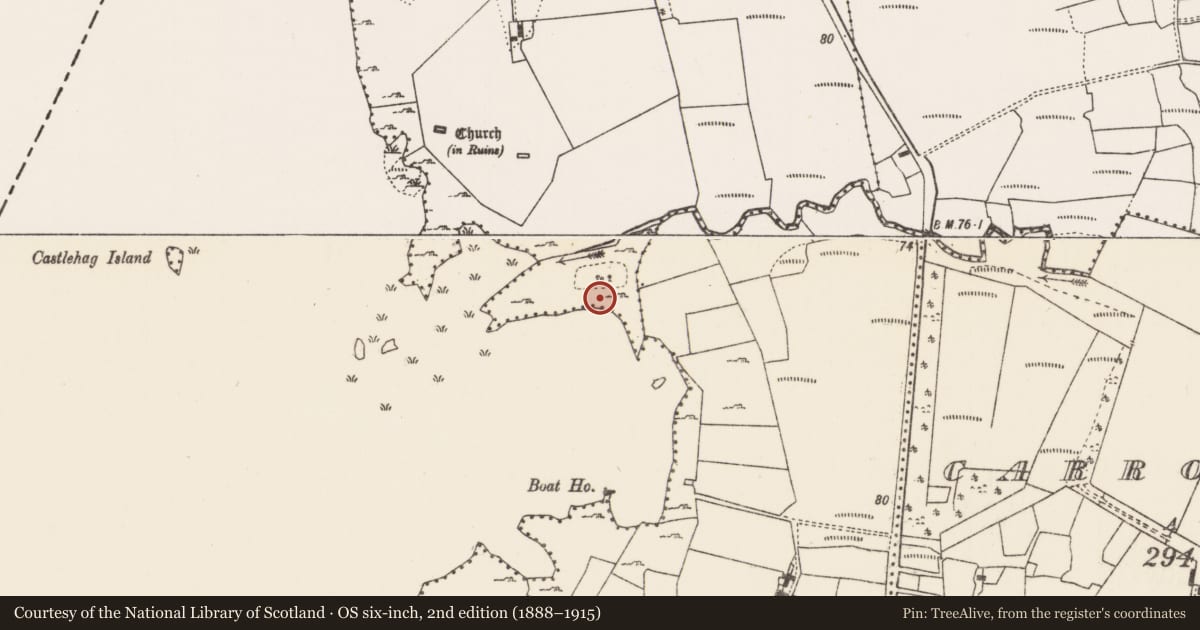Ordnance Survey six-inch map, 2nd edition (1888–1915) covering the location of Leacht cuimhne, Annies, County Mayo, with a pin at the register's coordinates