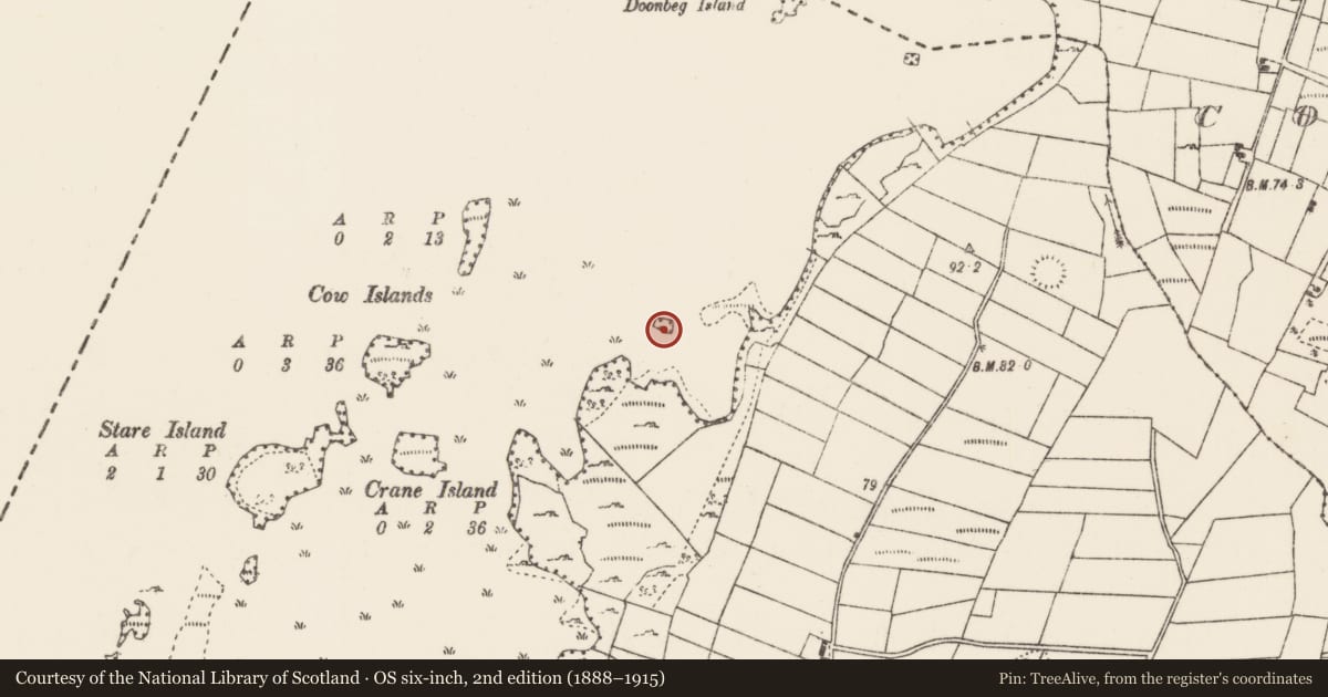 Ordnance Survey six-inch map, 2nd edition (1888–1915) covering the location of Crannog, Lough Carra, County Mayo, with a pin at the register's coordinates