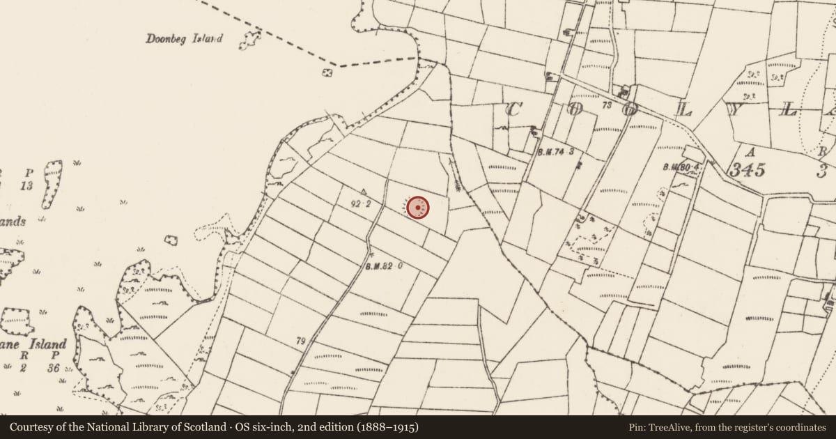 Ordnance Survey six-inch map, 2nd edition (1888–1915) covering the location of Ringfort - rath, Cloonee, County Mayo, with a pin at the register's coordinates