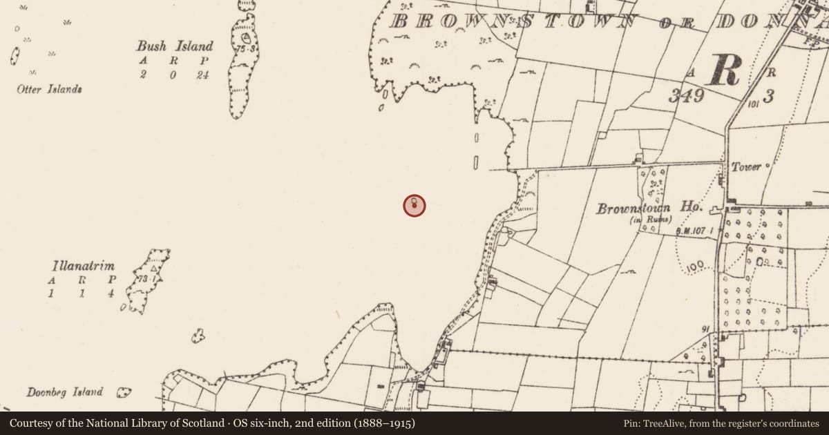 Ordnance Survey six-inch map, 2nd edition (1888–1915) covering the location of Crannog, Lough Carra, County Mayo, with a pin at the register's coordinates
